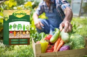 AgroMax – Egy szerves Szerves növekedés javítása formula a Ízletesebb gyümölcsök és zöldségek!