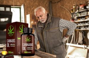 Cannabis Oil vélemények- A kendermag olaj ízületi mobilitás és a magas vérnyomás!