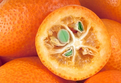 Kumquat - információk és előnyök