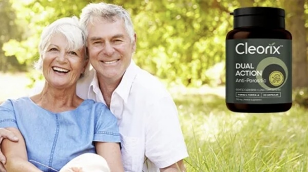 Összetétel és összetevők