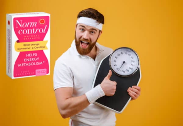 A Normcontrol használata – Utasítások